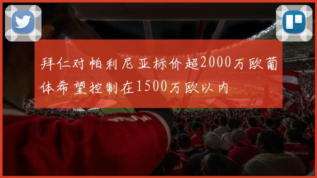 拜仁对帕利尼亚标价超2000万欧葡体希望控制在1500万欧以内