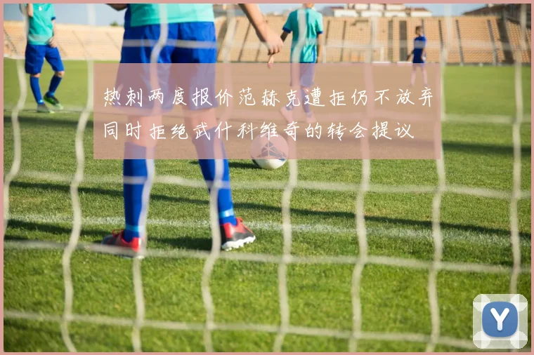 热刺两度报价范赫克遭拒仍不放弃同时拒绝武什科维奇的转会提议